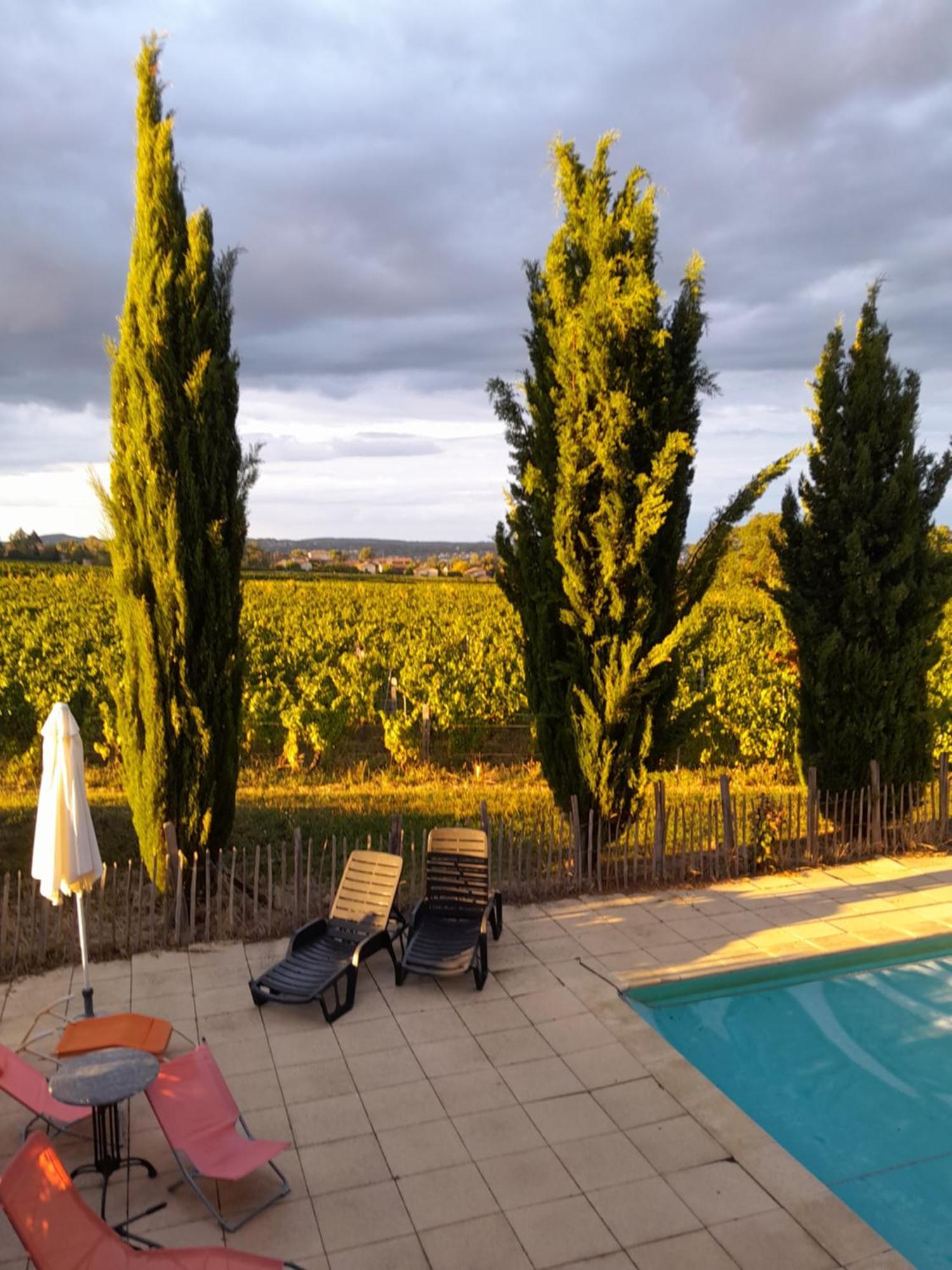 La Cote Des Blancs - Domaine Viticole & Maison D'Hotes Vinzelles Экстерьер фото