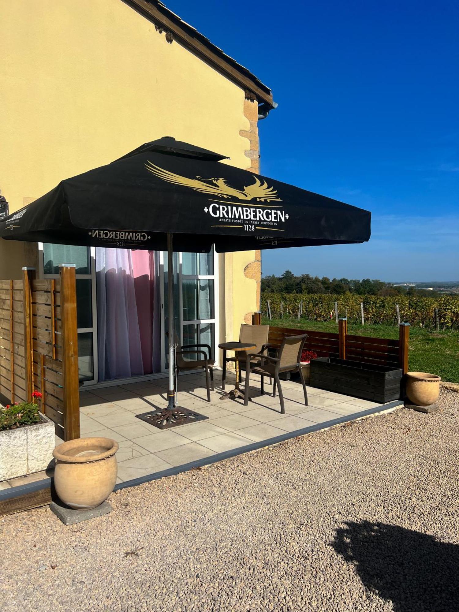 La Cote Des Blancs - Domaine Viticole & Maison D'Hotes Vinzelles Экстерьер фото